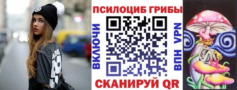 кракен как войти  Петровск-Забайкальский  Галлюциногенные грибы Cubensis 
